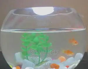 3 Liters Fishbowl Kit With 2 Fishes