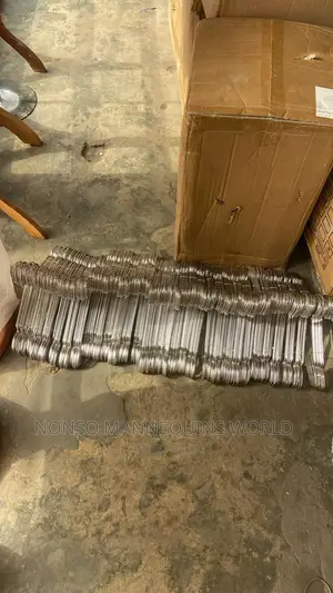 Imported Plain Stainless Steel Hangers