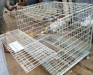 Imported Collapsible Galvanised Iron Dog Cage