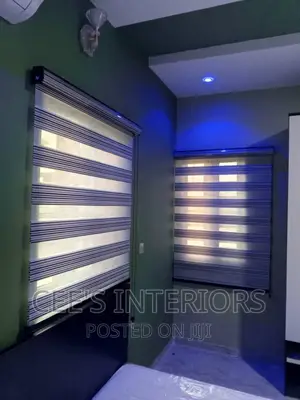 Day and Night Window Blinds.