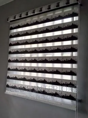 Day and Night Window Blinds