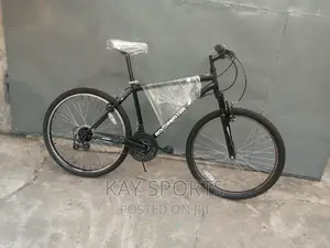 Roadmaster Sport Bicycle