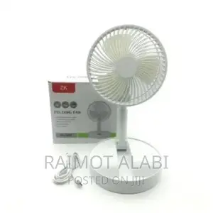 Folding Fan
