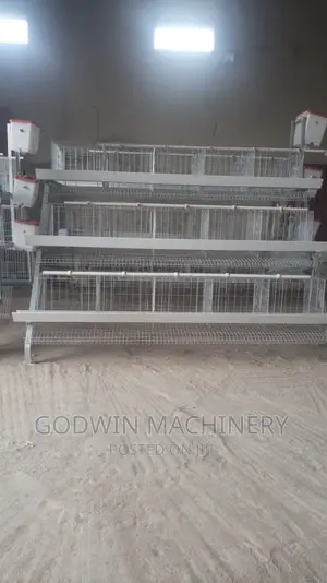 Hot Galvanized Birds Cage