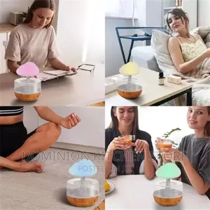 Rain Cloud Humidifier
