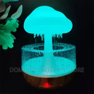 Rain Cloud Humidifier