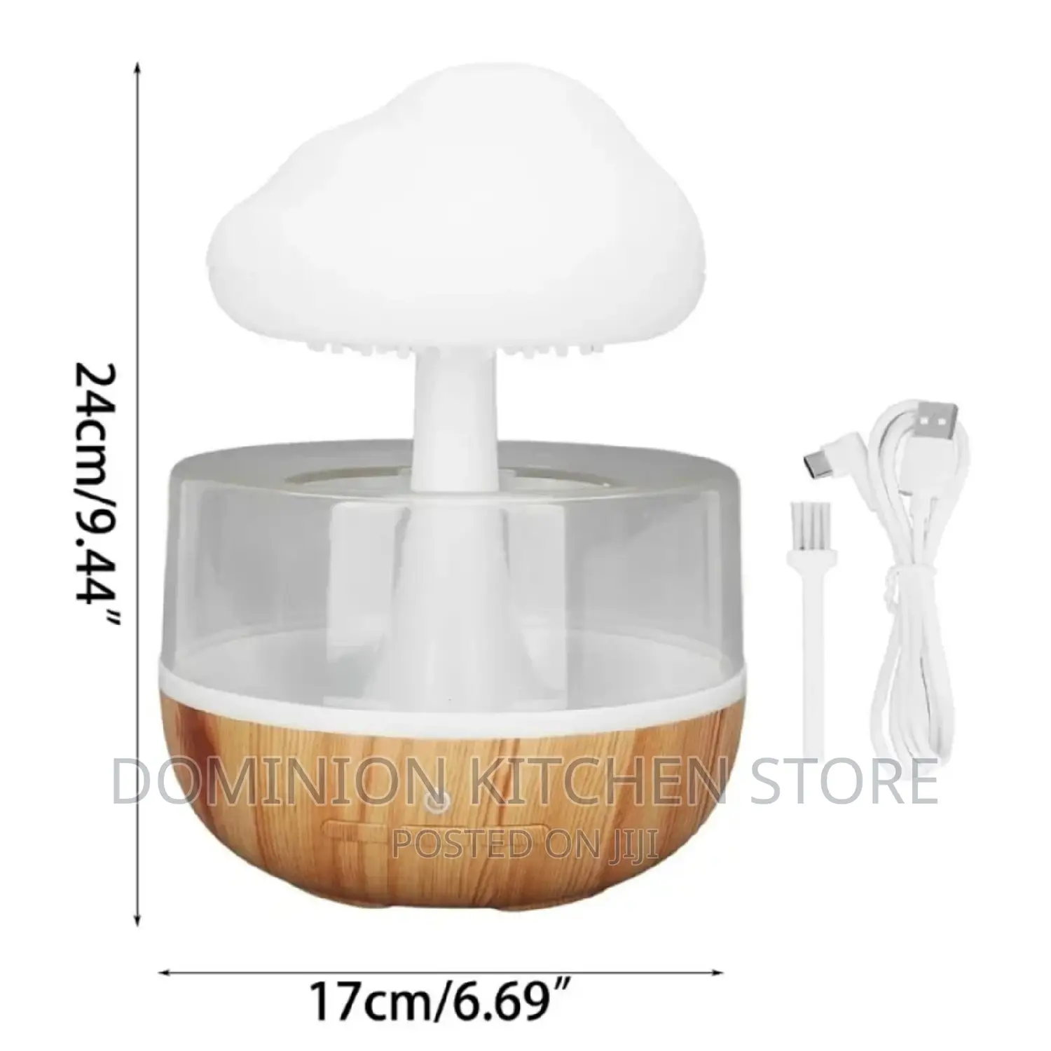 Rain Cloud Humidifier