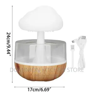 Rain Cloud Humidifier