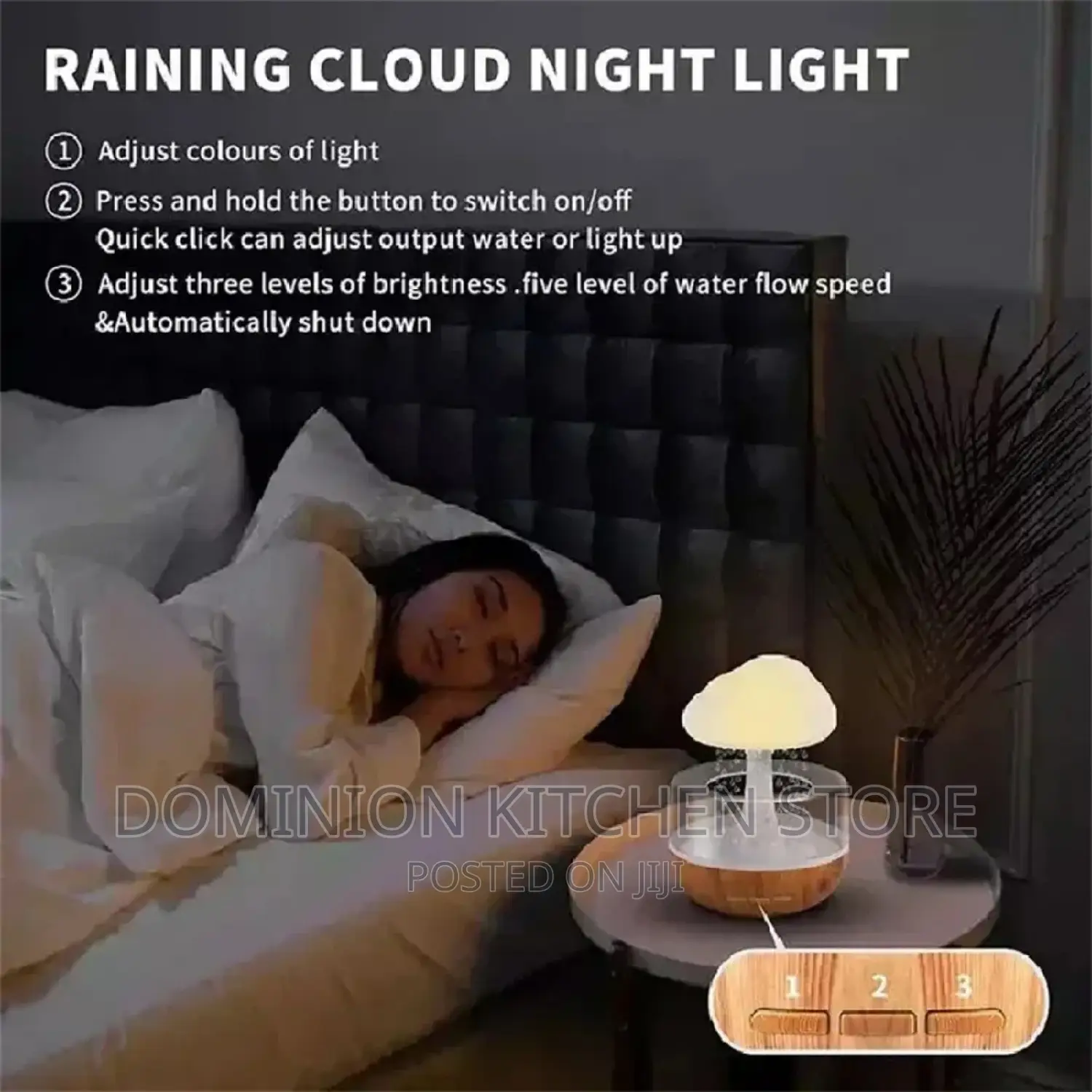 Rain Cloud Humidifier