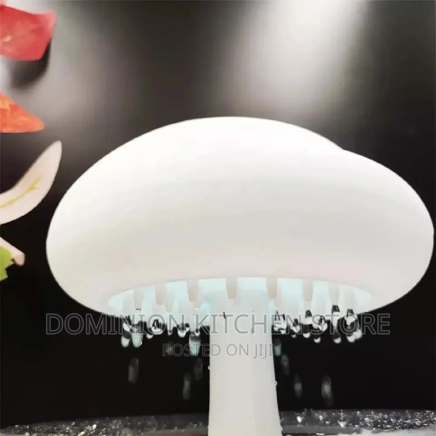 Rain Cloud Humidifier