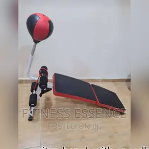 Situp Bench With Speed Ball