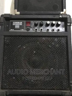 Torque Guitar Amplifier