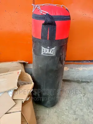 Everlast Punching Bag