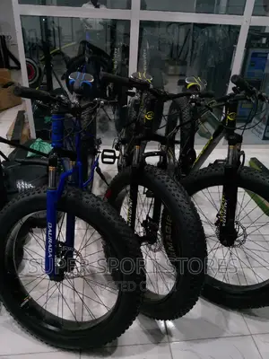 Fat Tyre Bike