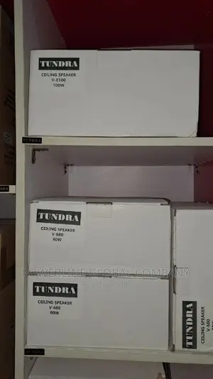 100w Speaker for Ceiling for Home's/ Hotels and Offices