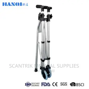 Stand Upright Walker With Armrest