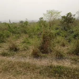 Land for Sale at Ijebu Ode at Cheaper Price 20 Acres