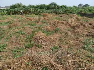 Land for Sale in Agodo