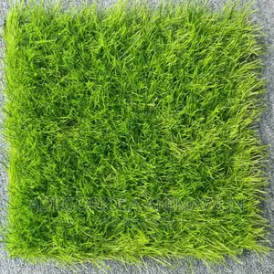 Environmental Friendly Artificial Grass(+Free Installation)