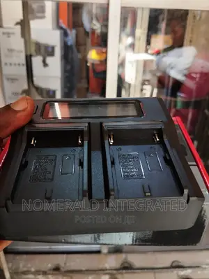 Dual Led Light Battery Charger