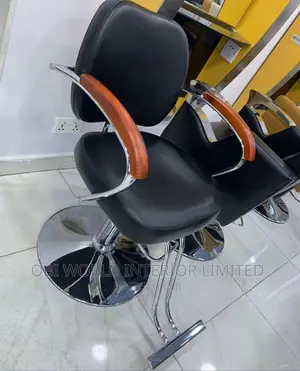 Portable Salon Barber Chair