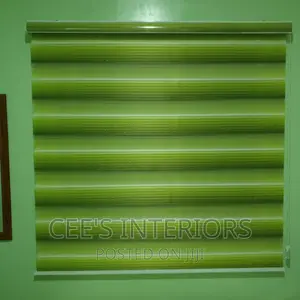 Day and Night Window Blinds