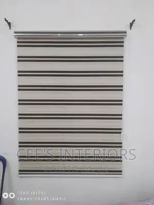 Day and Night Window Blinds