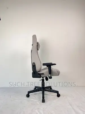 Ergnomic Chair