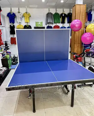 Table Tennis Board S411