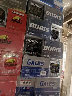 Original Quality Boris 75ahs Battery for Suv.