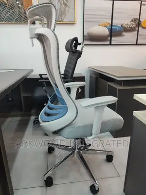 Ergonomic Mesh Office Chair