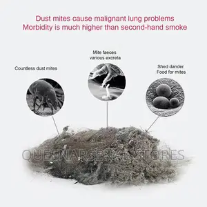 Dust Suction Mite Removal