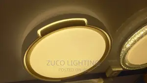 Modern Luxury LED Creative Ceiling Flush Light