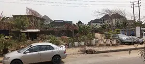 For Sale : Land on the Major Nta Road