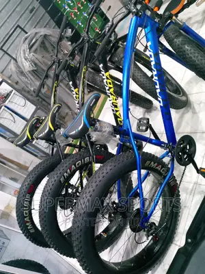 Exercise Fat Tyre