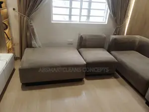 Sofa and House Cleaning Services