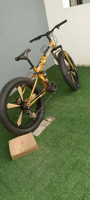 Fat Tyre Exercise Bike