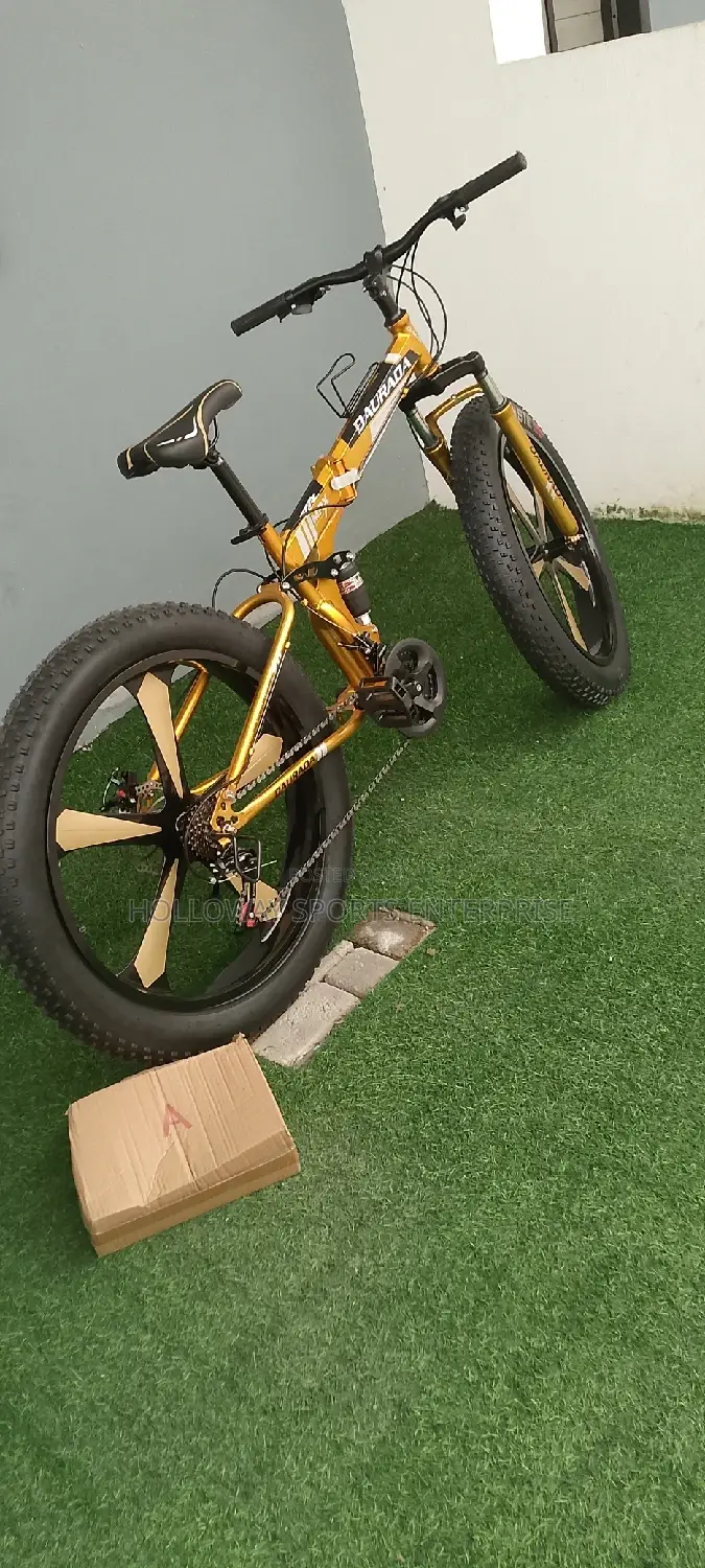 Fat Tyre Exercise Bike