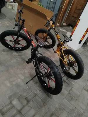 Colourful Fat Tyre Bike
