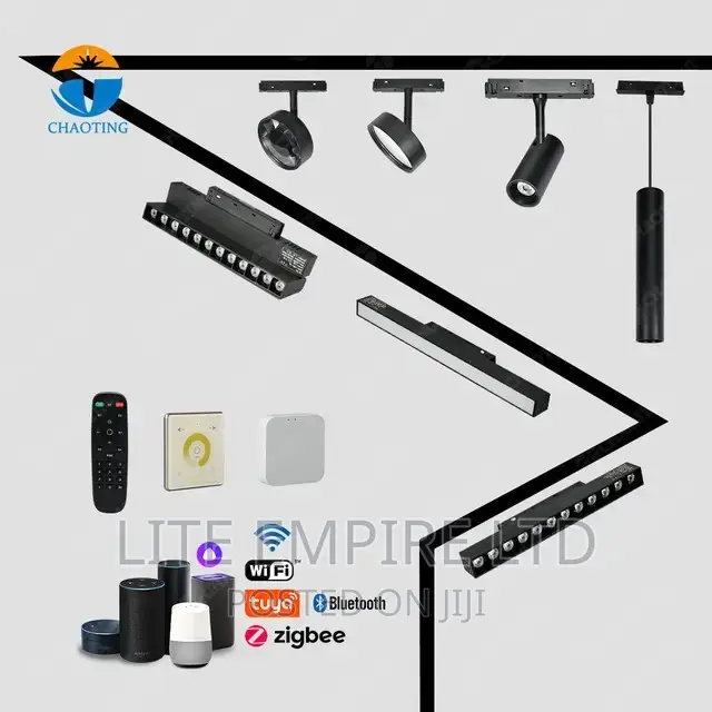 Magnetic Track Light