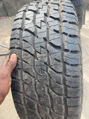 255/55r18 255/60r18 For Suv