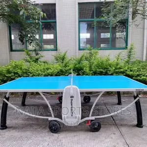 New Big Tyre Outdoor Table Tennis