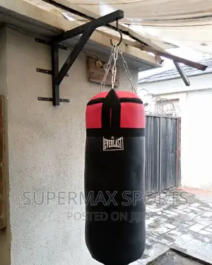 Everlast Punching Bag