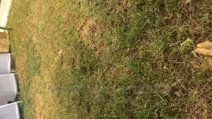A Dry Land Measure 996 SQM in Opebi Ikeja at Cheaper Price