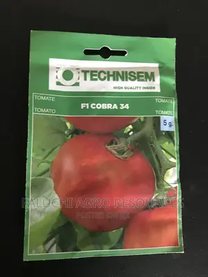 Hybrid Tomato Seed ( Cobra 34 F1) 5g