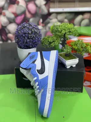 Air Jordan 1