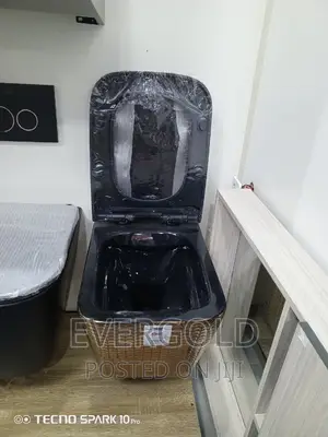 Gold and Black Conceal Water Closet Available With Warranty