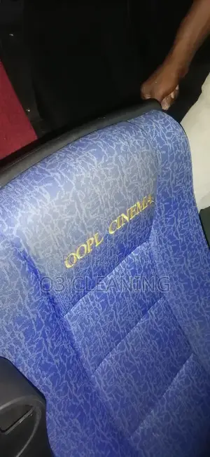 Sofa Cleaning