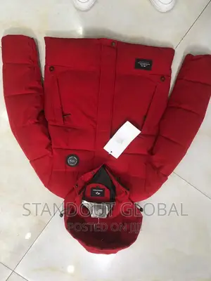 The North Face Winter Jacket