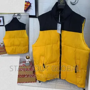 The North Face Winter Jacket